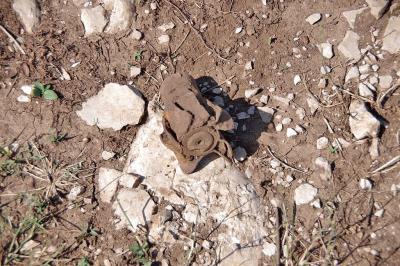 Прикрепленное изображение: IMGP6576.jpg